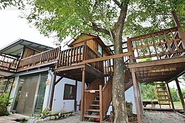 吳宗憲建計的樹屋，與大自然合而為一。
