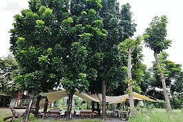 農場活動教室，也是未來另一種樹屋的預定地。