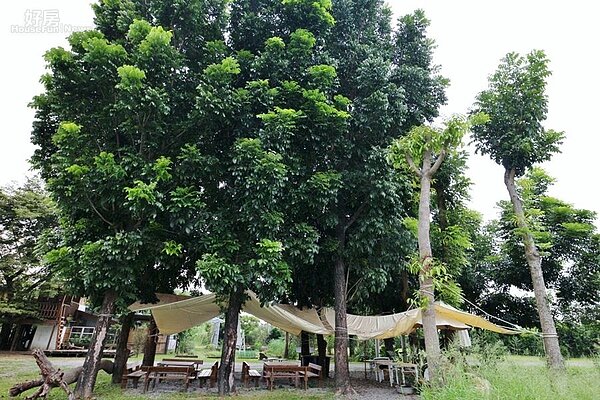 
17.農場活動教室，也是未來另一種樹屋的預定地。