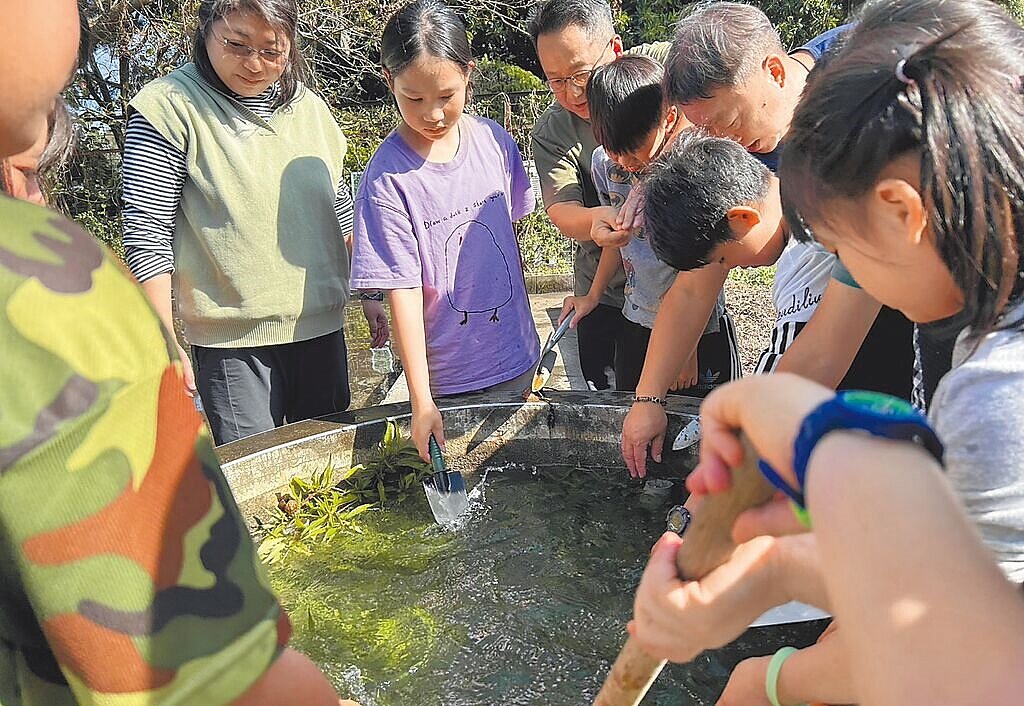 台中市新社區東興國小不僅整復「東興生態池」,也規畫種植水生植物、蝴蝶蜜源植物。圖/校方提供
