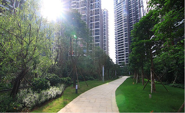 大陸帝寶(截取自大陸天涯論壇)