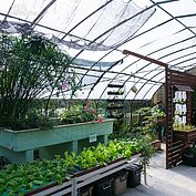 黑心食品連環爆，就連蔬果認證的吉普園標章也宣布即將退出市場。在這個食不安的時代中，都市農園不斷的出現，民眾就是想要吃的安心。透過最新「魚菜共生」系統，自家陽台窗前也可以是新鮮蔬果生產地。