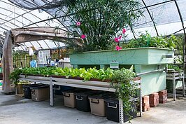 大家庭就用大型系統，可分層種植不同蔬果。只是相對的地方也要夠大。