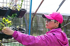 李老師看著健康成長的青菜，眼神彷彿看著自己的孩子一樣溫柔。