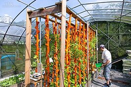 垂直共管系統是可應付人口多，但是無法大面積設立系統的最佳解決方案。