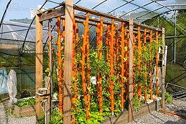 垂直共管系統是可應付人口多，但是無法大面積設立系統的最佳解決方案。