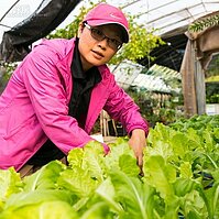 人生轉念一瞬間，魚菜共生新鮮蔬果在窗前