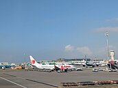 耶誕壓力爆表！資深空服員曝「搭機3NG行為」別犯　恐害全機延誤