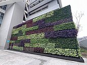 北市社宅不只地上種樹還往上「綠化」　學者點一作法促掌握現況