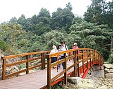 寶成捐拱橋　遊溪頭步道免涉溪