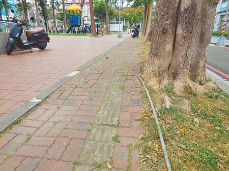 
鳳山區新強里內公園破損嚴重，里長李得勝抱怨市府砸大錢蓋特色與大型公園，一般社區公園卻缺乏修繕。（任義宇攝）
