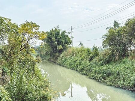 
高雄路竹區大湖埤排水欠缺整治，居民希望市府單位能盡速動工。（紀爰攝）
