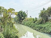 路竹大湖埤整治　拚明年底完工
