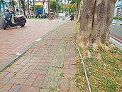 高雄里長抱怨　市府維護公園大小眼