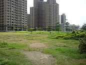 「空地綠化」可省錢　高雄喊出地價稅減免