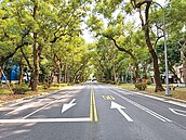 新政上路！北市「這些路段」成空品維護區　沒獲標章行駛可開罰6萬