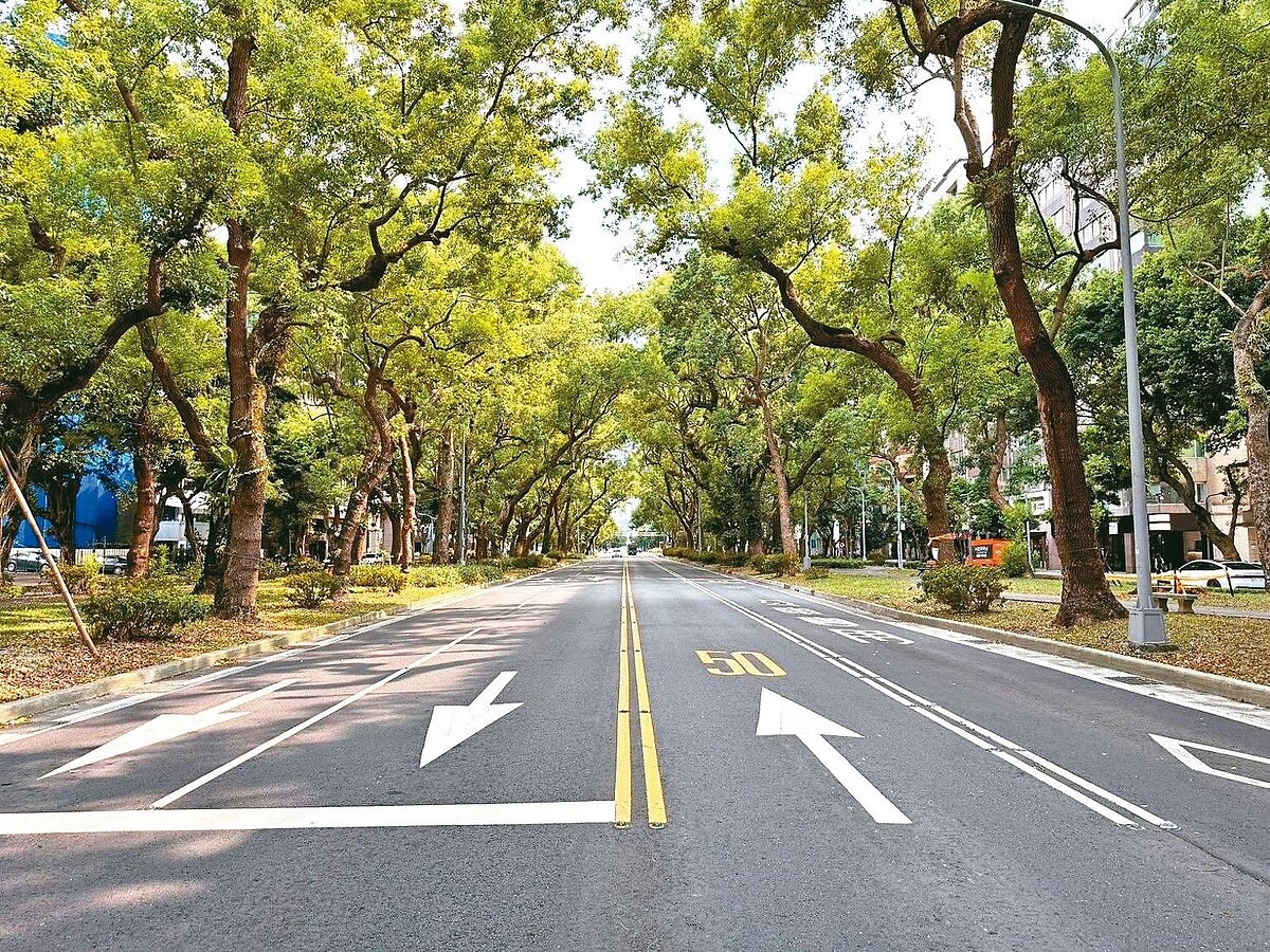今年起第四期空品維護區將正式上路，包含南京東路、仁愛路、信義路（西至中山南北路，東至復興南北路）東西向車道，相關車輛需完成檢測獲得標章才可上路。圖／北市公園處提供