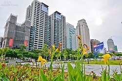 鎖定中台灣　海外頂級住宅台中首賣