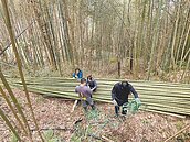 擴大市場規模　思考綠建築應用