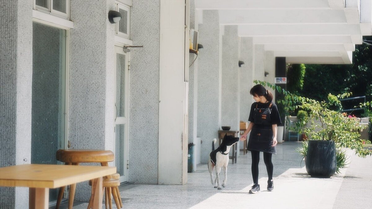 石門區乾華國小草里分班校舍裁撤後，在地陶藝家標租後開咖啡館。圖／新北教育局提供