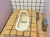 迎高齡化　公廁馬桶擬坐式為主　女廁改建　性別友善廁所引爭議