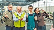 廢耕地活化澎湖首座草莓園開幕