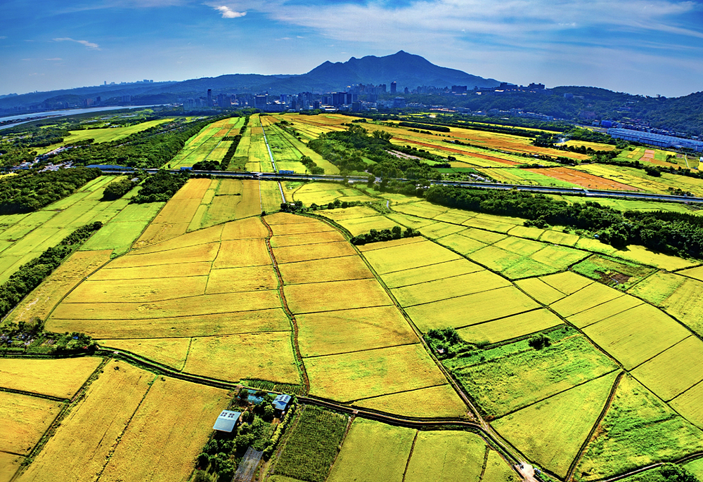 關渡平原有壯觀風貌，北市產發局去年舉辦「關渡田園之美」攝影比賽，作品「關渡平原之美」勇奪金獎。圖／產發局提供

