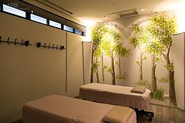 除了沒便利商店跟學校，龍寶建設所興建的住宅，在再的為住戶考慮到所有生活休閒需求，甚至還有圖書館。對於藝術熱愛的張麗莉董事長，要求到處都要有符合意境的藝術作品成列，就連SPA房也不例外。