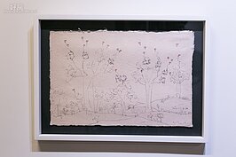 塗鴉作品線條簡單，卻隱含著赤子之心。