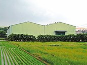 桃園農地變工廠　200違建占良田