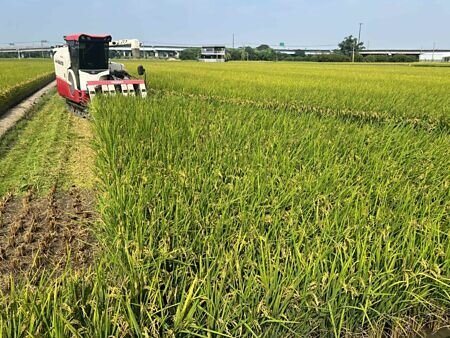 
老年農津貼將每月發放額度調整至1萬元，以適時反映物價及生活成本變動。圖∕本報資料照片
