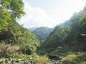 南投魚池水社大山採水晶礦　大林村喊NO
