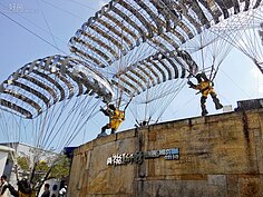 近乎逼真的雕塑品，整群降落在屋頂上十分壯觀。