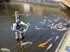 在池塘中也會有意外的驚喜，作品就融入魚塘中，彷彿就是在捕魚。