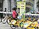 Pbike受歡迎　阿公：這怎麼借？