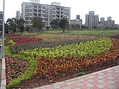 新北綠家園好讚　127處荒地變公園