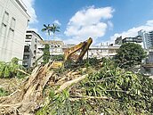 台大挨批鑽漏洞　砍陳奇祿故居老樹