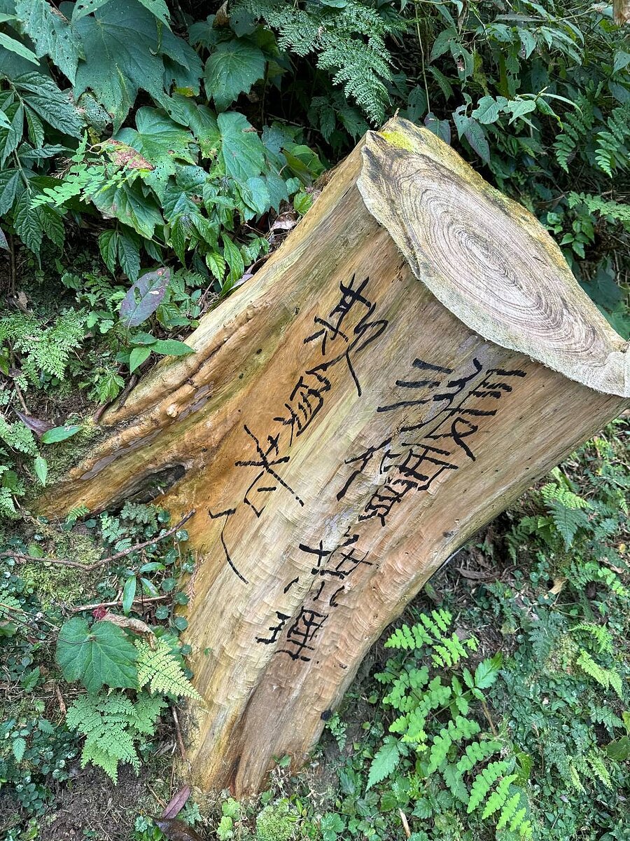 溪頭自然教育園區元旦起調漲票價,疑似有遊客不滿,在園區內以麥克筆寫下「漲價無理、欺負老人」等字句,連樹頭都難逃塗鴉。圖/溪頭自然教育園區提供