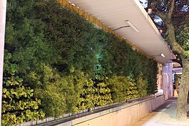 為響應政府簡單樸實之政策，本圍籬以環保、綠意為導向，力求不枯萎、少換盆、經年常綠好照顧之盆栽，搭配可回收之植生籃、自動澆灌系統及穩壓滴帶，以確保圍籬經年翠綠長青，是為綠籬之原意。