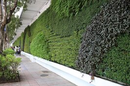為使這垂直綠牆的效用最大，在設計上必定要運用本案最大優勢 --- 長度，理念上便是要回歸自然。取材於植物的形、風的感覺、水的流動，“線條”即是自然題材具象化之後最佳的表現元素。