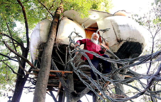 廣東有一名60多歲的老人，在樹上築起「鳥巢」為生。（翻攝自廣東新快報）
