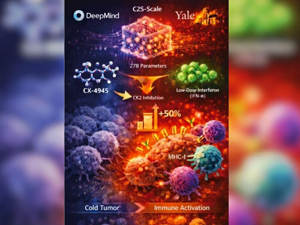 CX-4945經AI模型與臨床驗證，強化免疫治療反應。