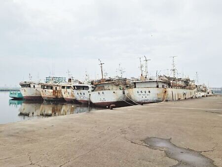 
農業部漁業署推動「遠洋漁船減船計畫」，高雄登記汰除的漁船已超過百艘，部分停泊在「興達海基」港邊；此地也曾被行政院單方面核定臨時拆船廠，但面臨地方強烈反彈後暫置此計畫。（丁治綱攝）

