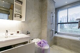 免痔馬桶與所有看的到的衛浴設備都會隨屋附贈。