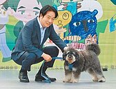 毛孩超車孩童　貓狗飼養破340萬隻