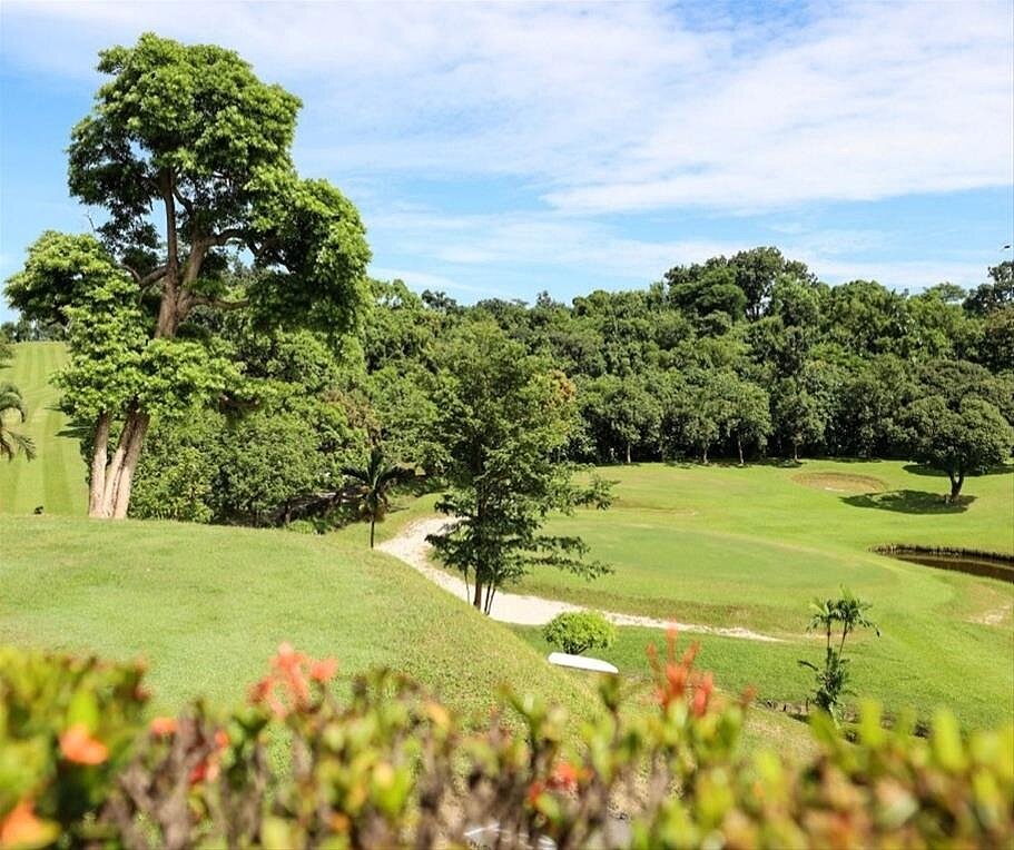高雄果嶺自然公園去年10月開放後70公頃面積僅幾間臨時廁所，民眾怨不便。圖／擷取自高雄市政府工務局官網