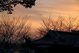 夕陽。