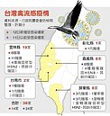 禽流感疫情北竄　彰化淪陷