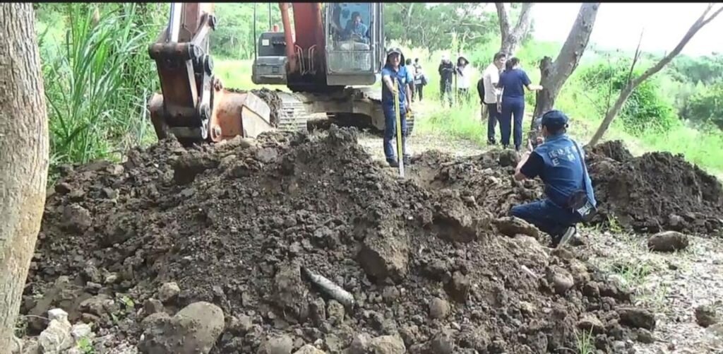 圖片環境部提供