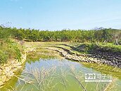 觀音山溜池　灌溉功能重現